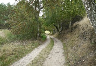 Landschap in de buurt van Langen Brütz, © Naturpark Sternberger Seenland