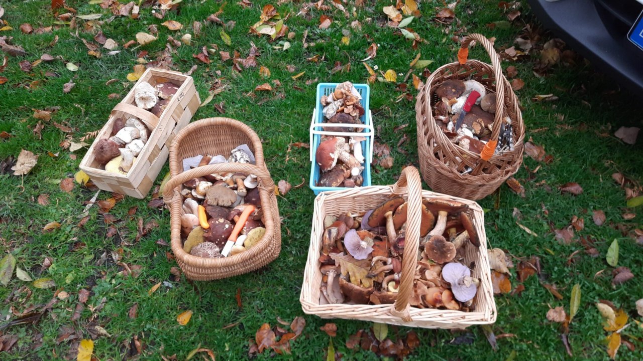 &copy; Gemeinde Ostseebad Glowe