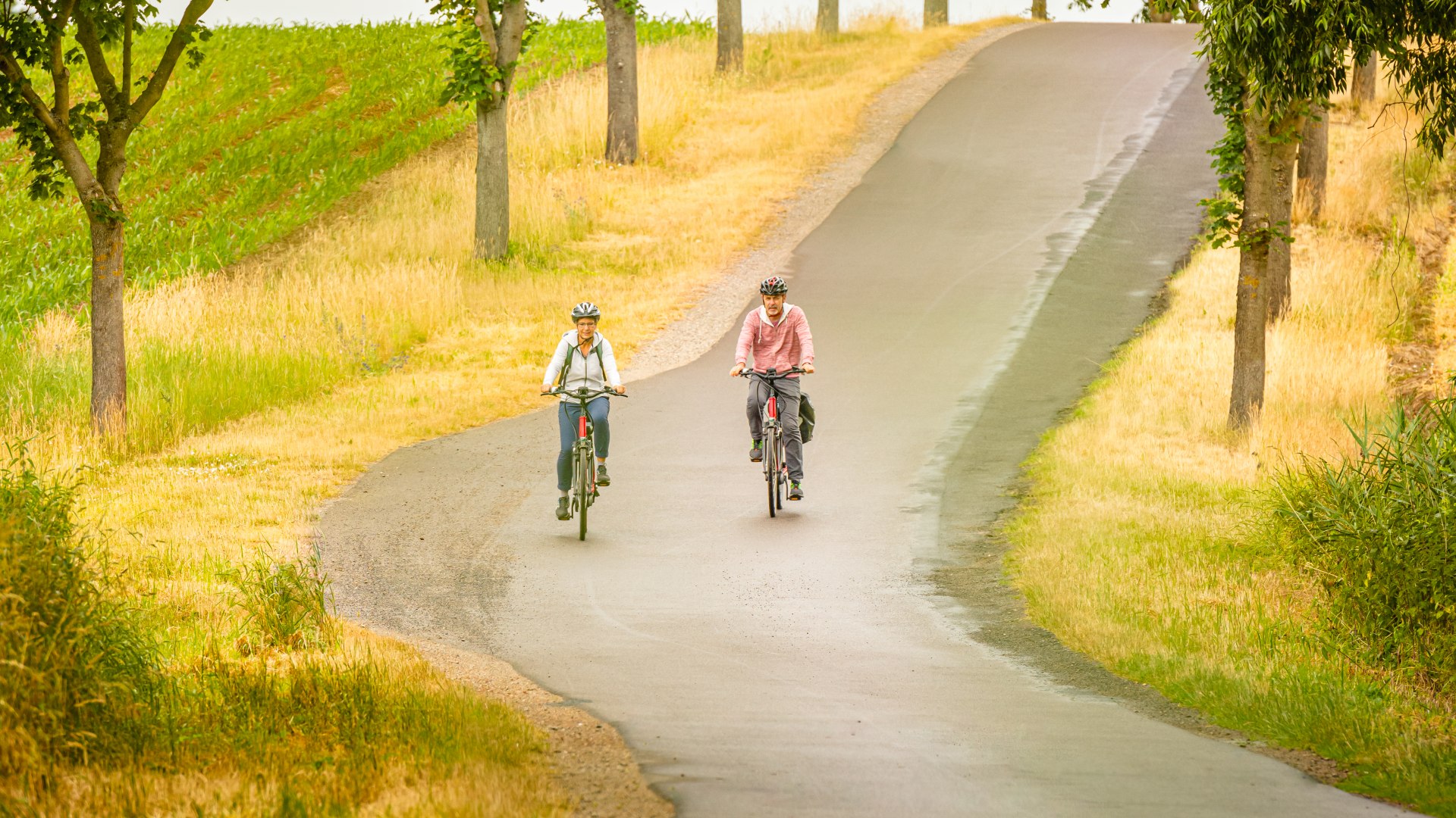 Rijd op een e-bike op een laan door het Mecklenburgse merengebied