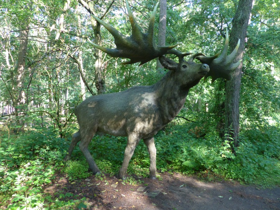 P1140117, © Weichbrodt P1140117, © Weichbrodt