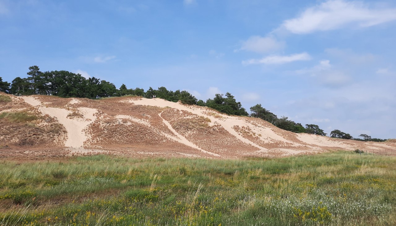 Inland dune Klein Schm&ouml;len, &copy; M. Lenthe