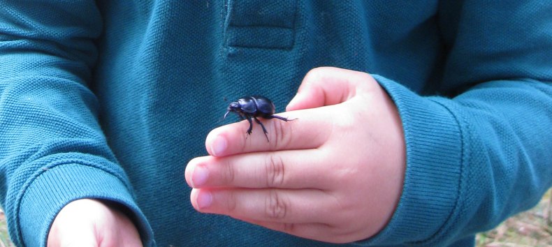 &copy; NPA M&uuml;ritz