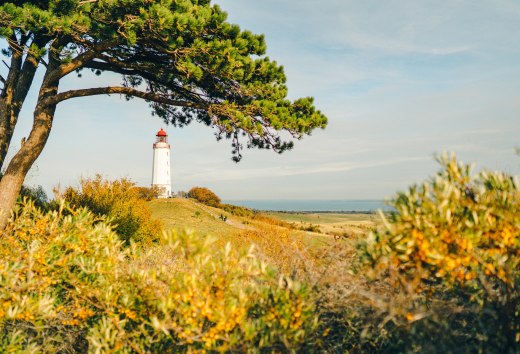 Een ansichtkaartmotief bij uitstek: de vuurtoren van Dornbusch is het herkenningspunt van het eiland Hiddensee. // © MV-T/Petermann Een ansichtkaartmotief bij uitstek: de vuurtoren van Dornbusch is het herkenningspunt van het eiland Hiddensee. // © MV-T/Petermann