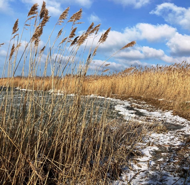 © K. Bärwald © K. Bärwald