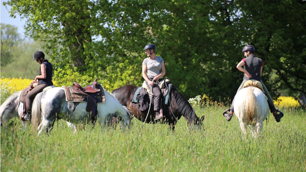 Leisurely ride to the rape blossom, © ART.Quartier/Anne Hille Leisurely ride to the rape blossom, © ART.Quartier/Anne Hille