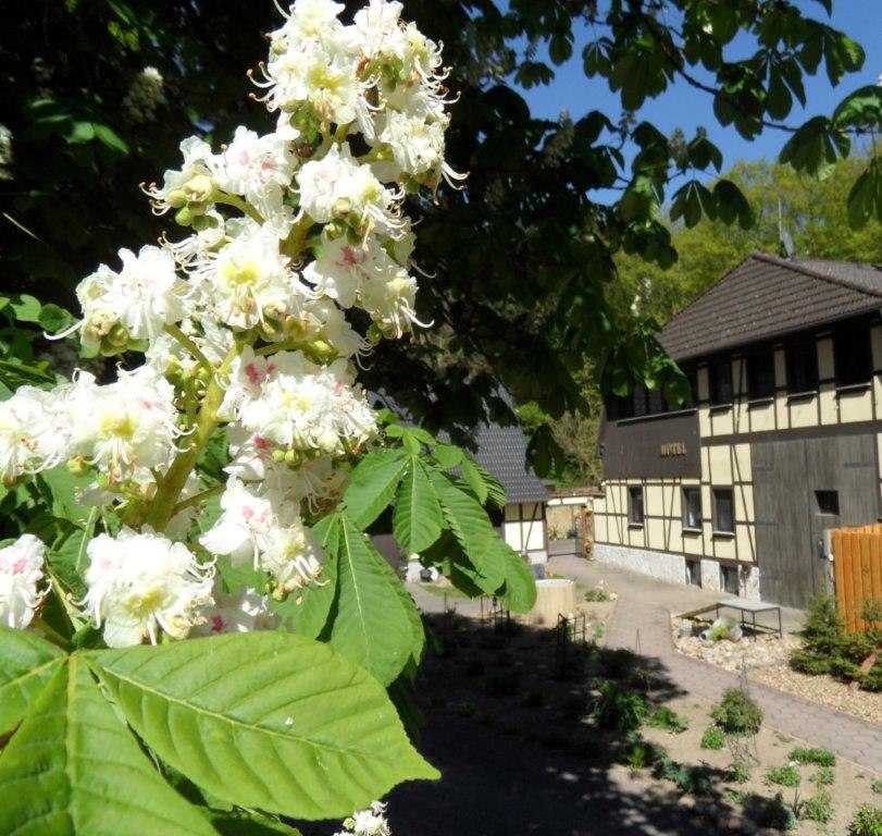 Dat Waldhus in spring // © Steffen Tepasse Dat Waldhus in spring // © Steffen Tepasse