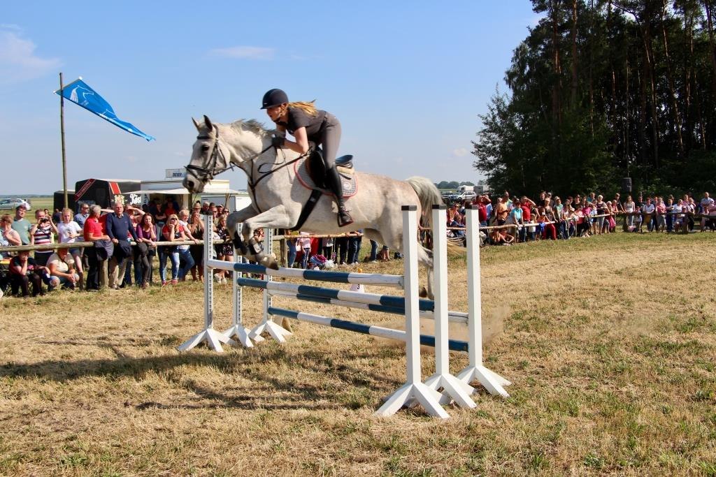 &copy; Dierk Kroeger