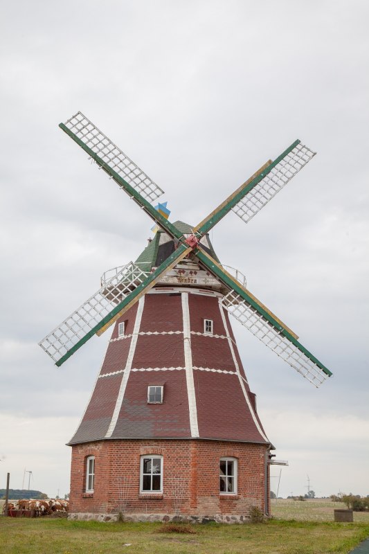 de Nederlandse windmolen in Zepelin // © Frank Burger de Nederlandse windmolen in Zepelin // © Frank Burger