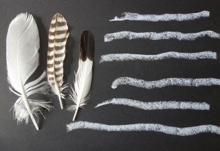 &copy; Kristine von Soden