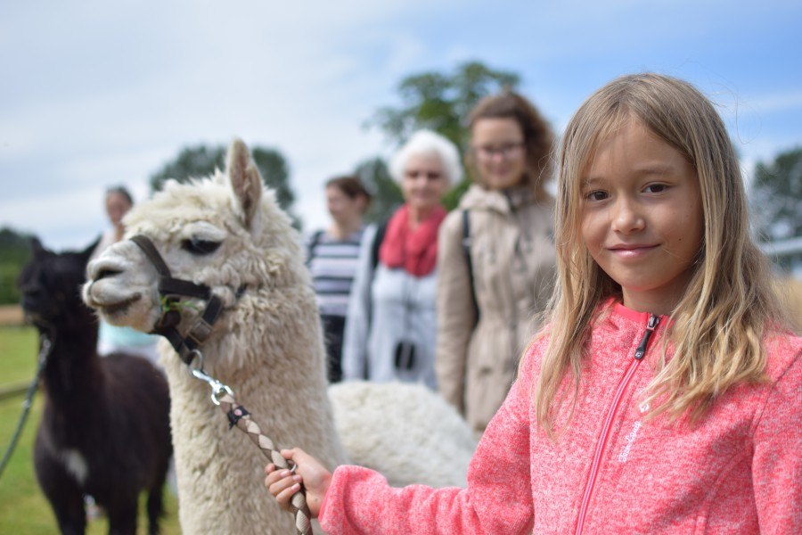 Alpaca wandeling, © M. Wenzlaff