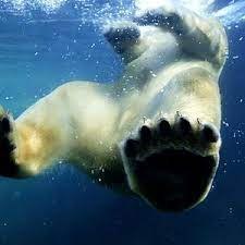 TMV/images, © Basiskulturfabrik GmbH TMV/images, © Basiskulturfabrik GmbH