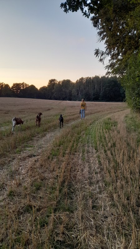 Onze kleine Burderei, &copy; Andrea Hauser