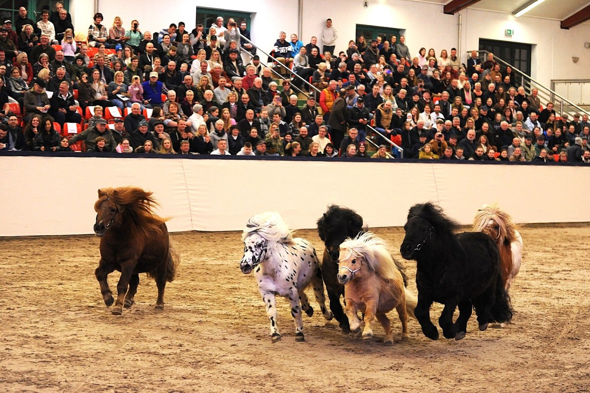 HP 25, © Annett Strohbehn HP 25, © Annett Strohbehn