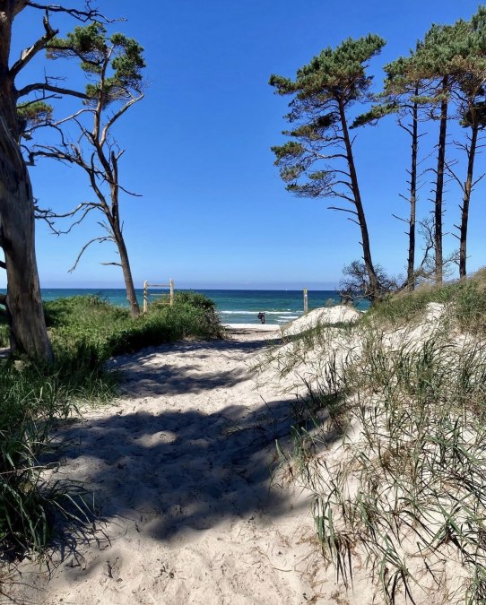 Darßer West Beach, © Islandpferdehof Fischland Darßer West Beach, © Islandpferdehof Fischland