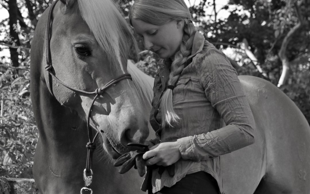 Framika Ranch, © Dirk Sandner