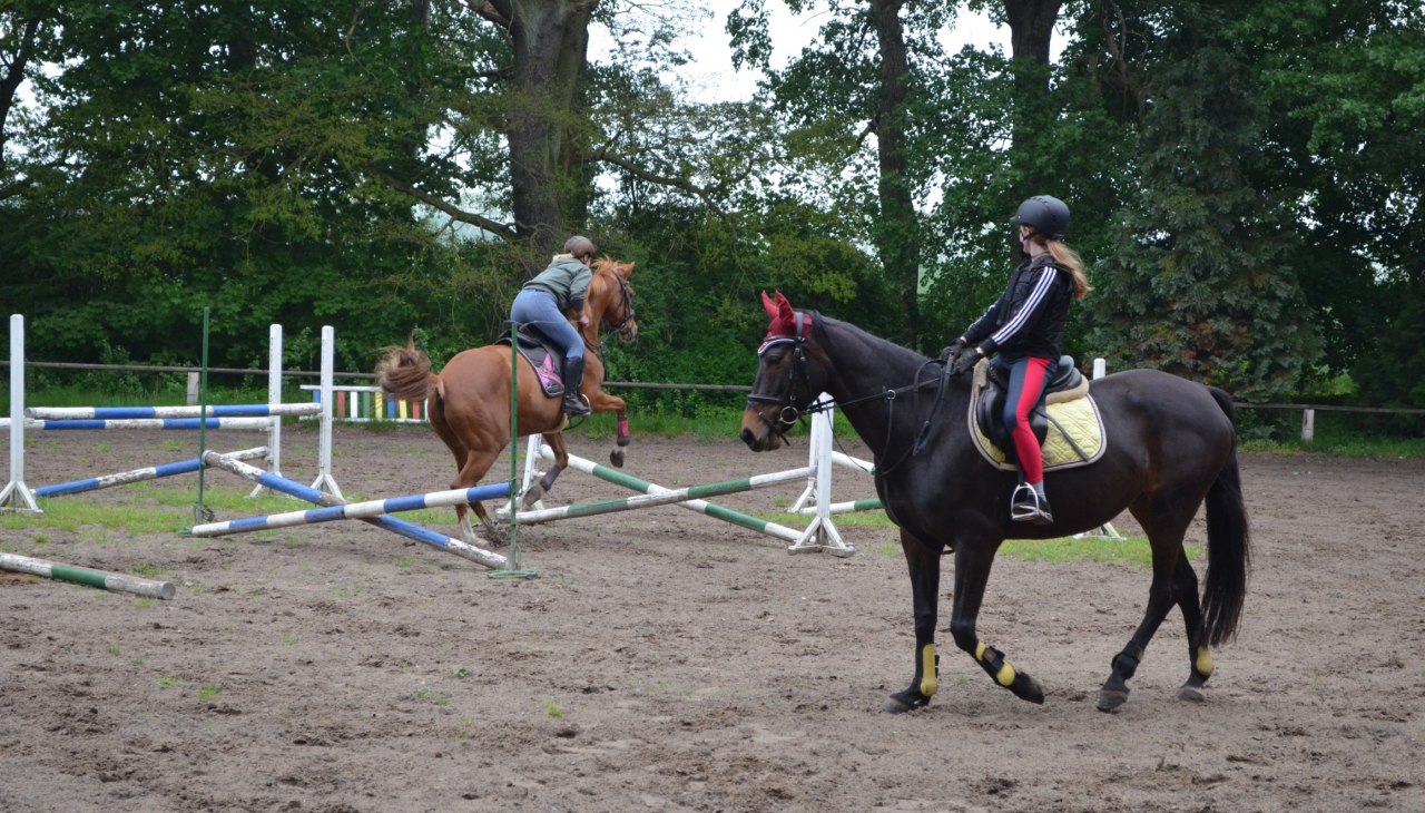 W Daugzin Riding and Driving Club uczysz się jeździć od podstaw., © Karoline Görs