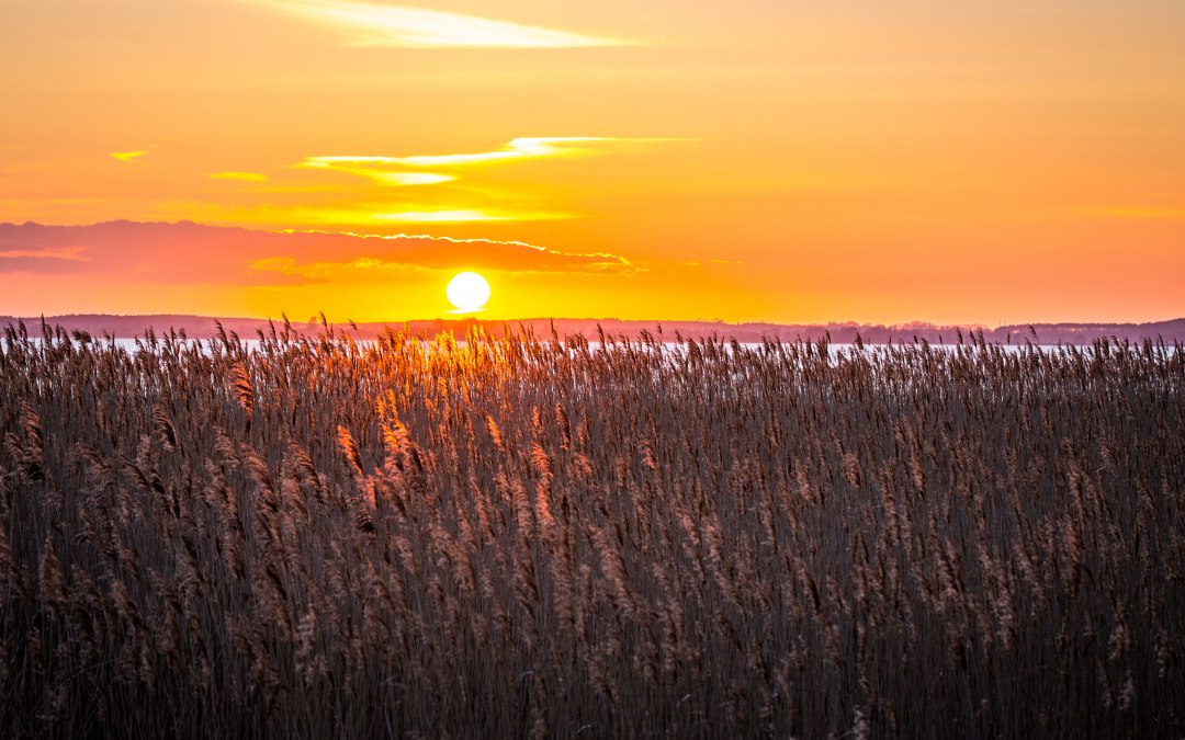 Fietstocht naar het Achterland, © insel-fotograf.eu, Andreas Dumke