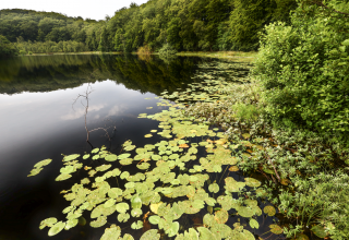 © TMV/Gohlke © TMV/Gohlke