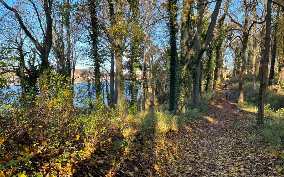 Hiking trails, © Tourist-Information Malchow