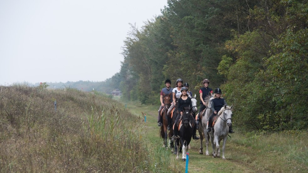 Als Reiterhof Gränert hebben we ons gespecialiseerd in dag- en buitenritten met onze Mecklenburgse paarden., © TMV/ Frank Hafemann