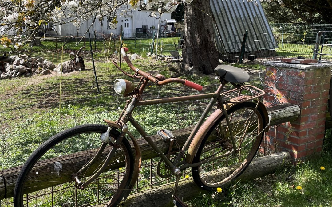 Fiets 1, © Südliche Boddenküste