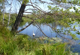 © Stadtmarketing Ribnitz-Damgarten © Stadtmarketing Ribnitz-Damgarten