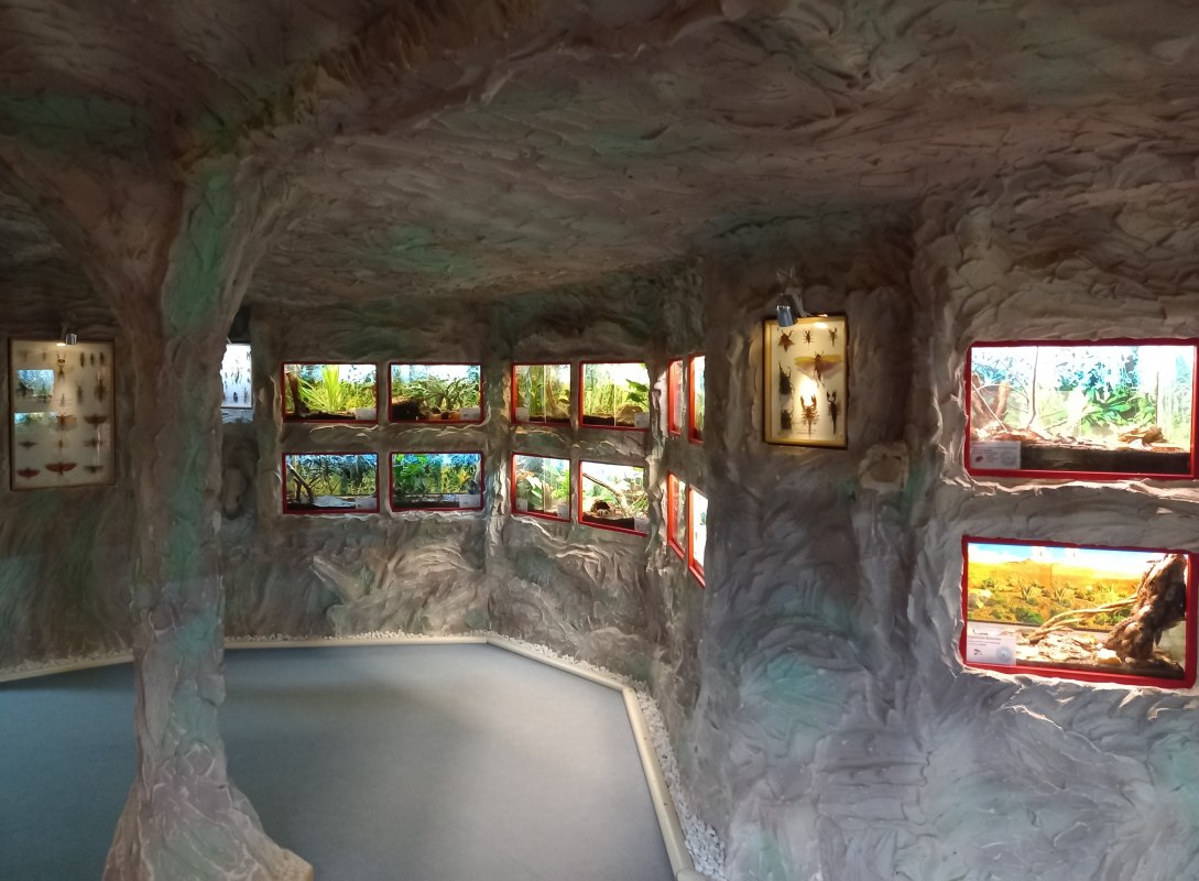 &copy; Schmetterlingsfarm/Heike Schnelle