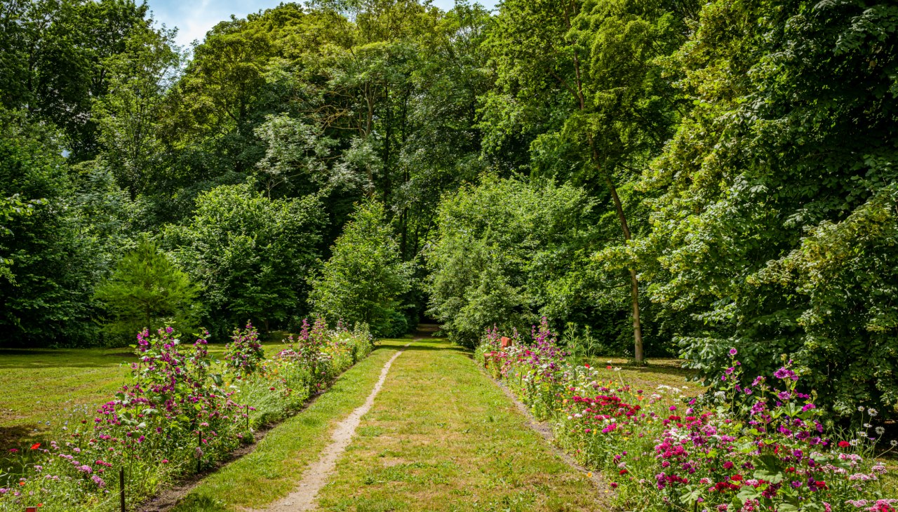 Uitzicht op de tuin van paleis Ludwigsburg, © TMV/Tiemann