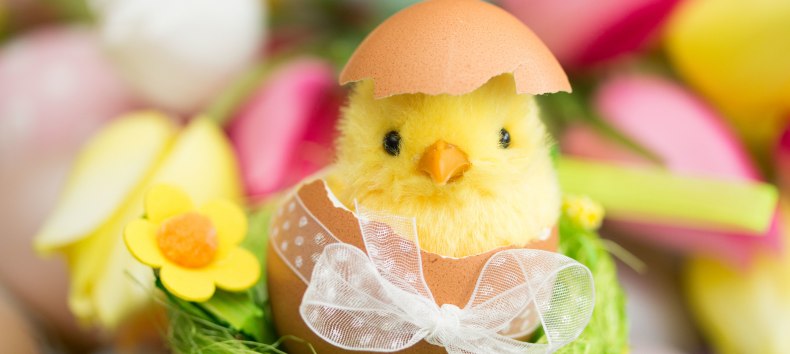 &copy; www.fotolia.com