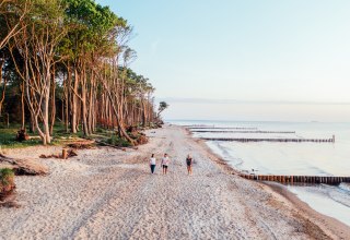 Plażowa idylla we wrzosowisku Rostock, &copy; TMV/G&auml;nsicke