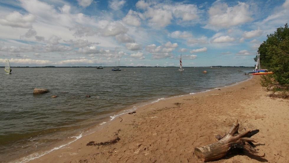 Backwater // &copy; surflocal.de