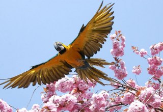 © Archiv Zoo Stralsund © Archiv Zoo Stralsund