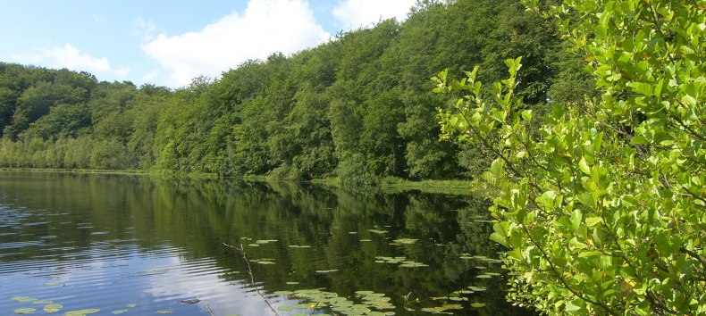 © Biosphärenreservatsamt Südost-Rügen © Biosphärenreservatsamt Südost-Rügen