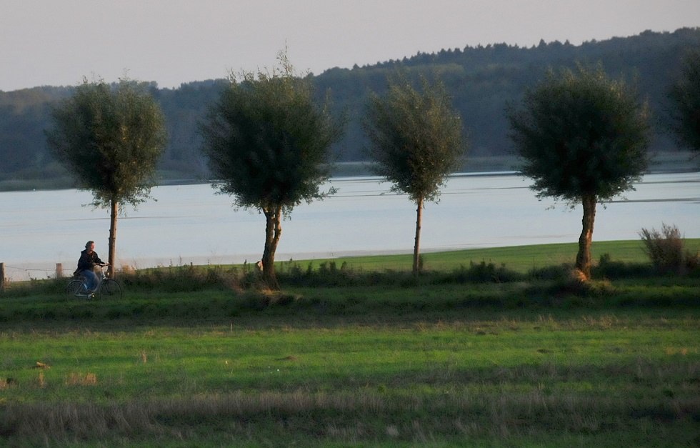 Jezioro Nonnensee w pobliżu Bergen na Rugii // &copy; Tourismuszentrale R&uuml;gen