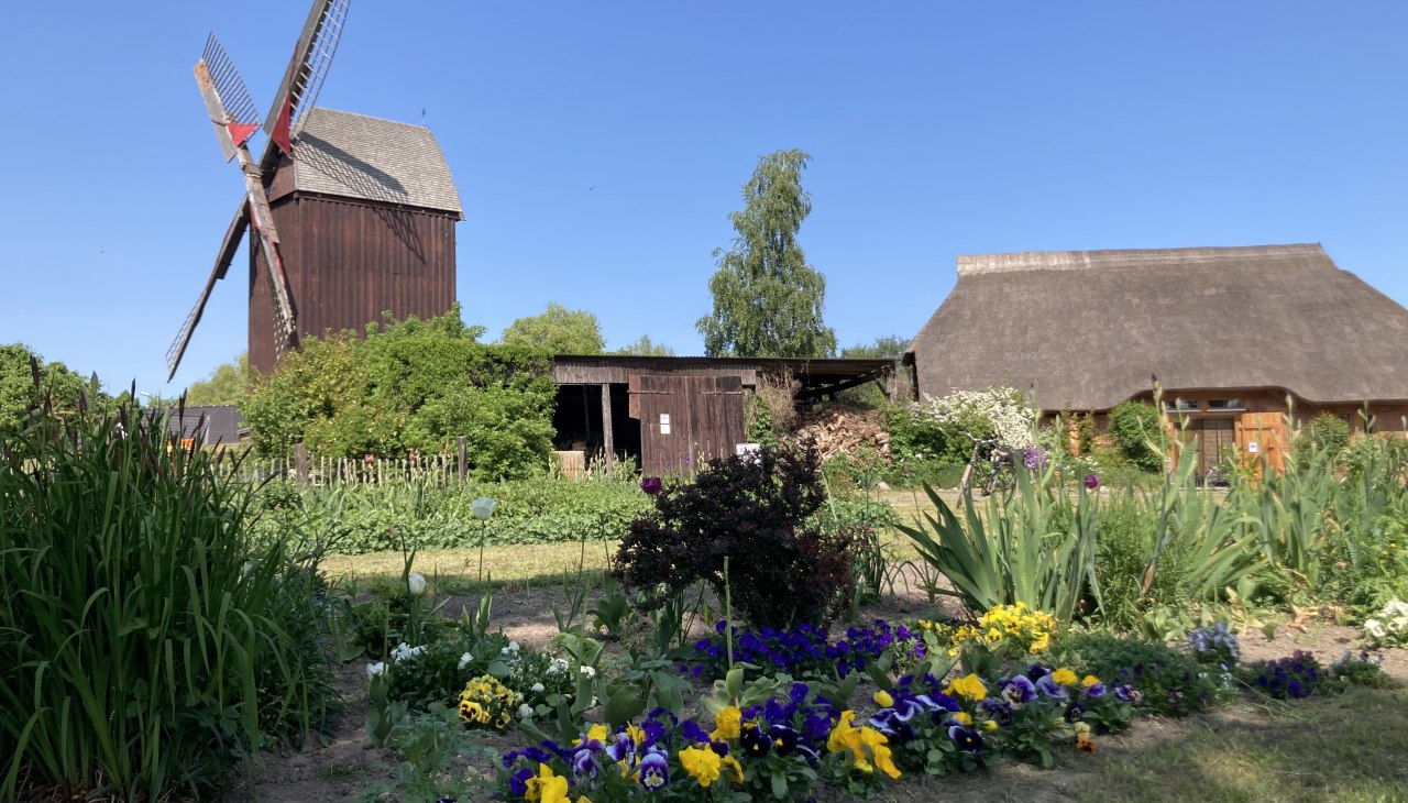 Kolorowe wiosenne pozdrowienia z wiatraka Eldena, © Martin Weidemeier