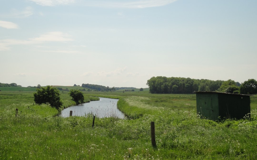 Krajobraz w pobliżu dzielnicy Bauer-Wehrland, © Tourismusverband Vorpommern e.V.
