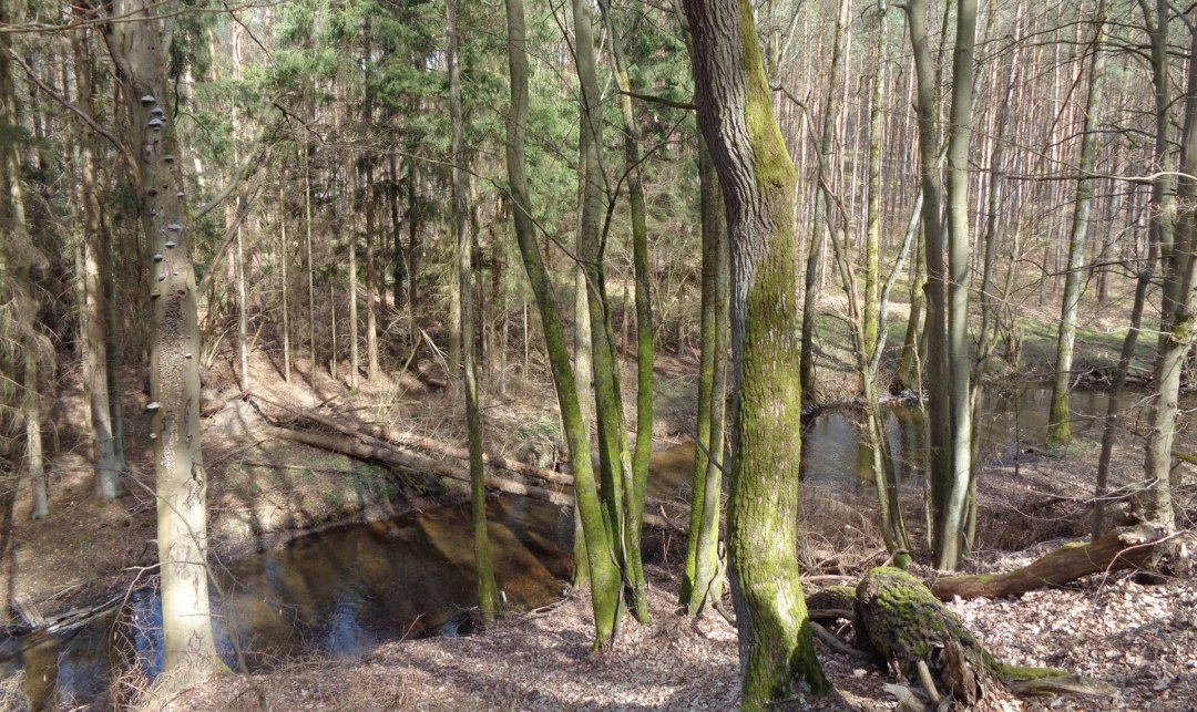 küstrinchenbach, © Britta Daedelow-Seydl