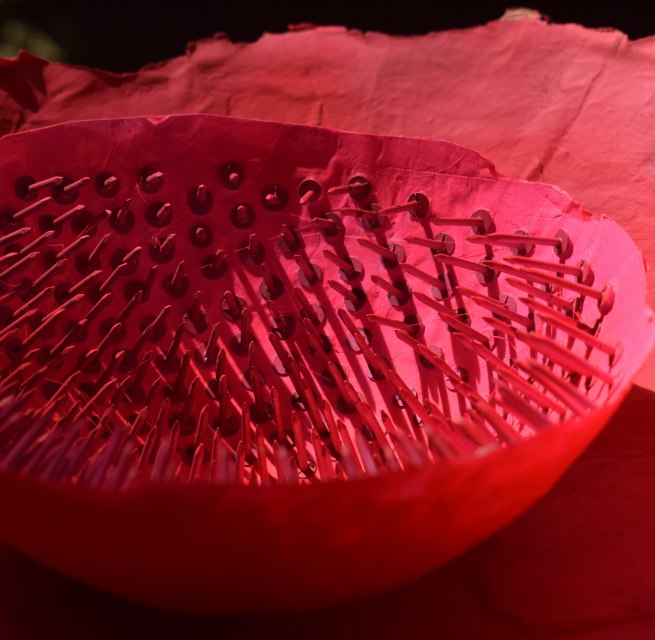 © Renate U. Schürmeyer