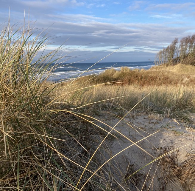 Weststrand Winter // &copy; Nationalparkamt Vorpommern