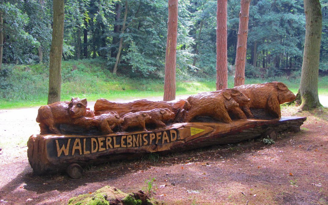 Entrance forest adventure trail