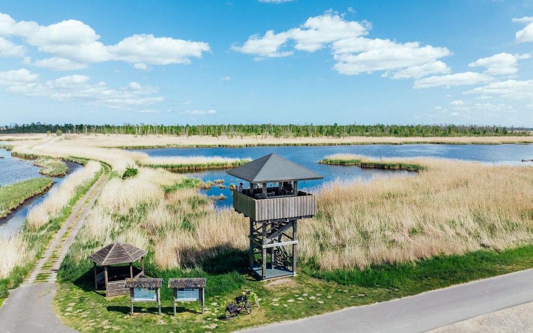 Wieża widokowa Bugewitz z widokiem na Anklamer Stadtbruch // &copy; TMV/G&auml;nsicke