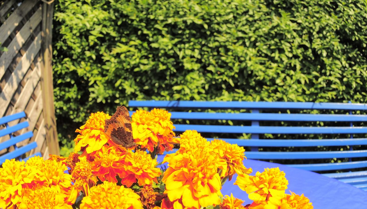 Część wypoczynkowa w ogrodzie przed pokojem wakacyjnym, © Kleines Fischerhaus