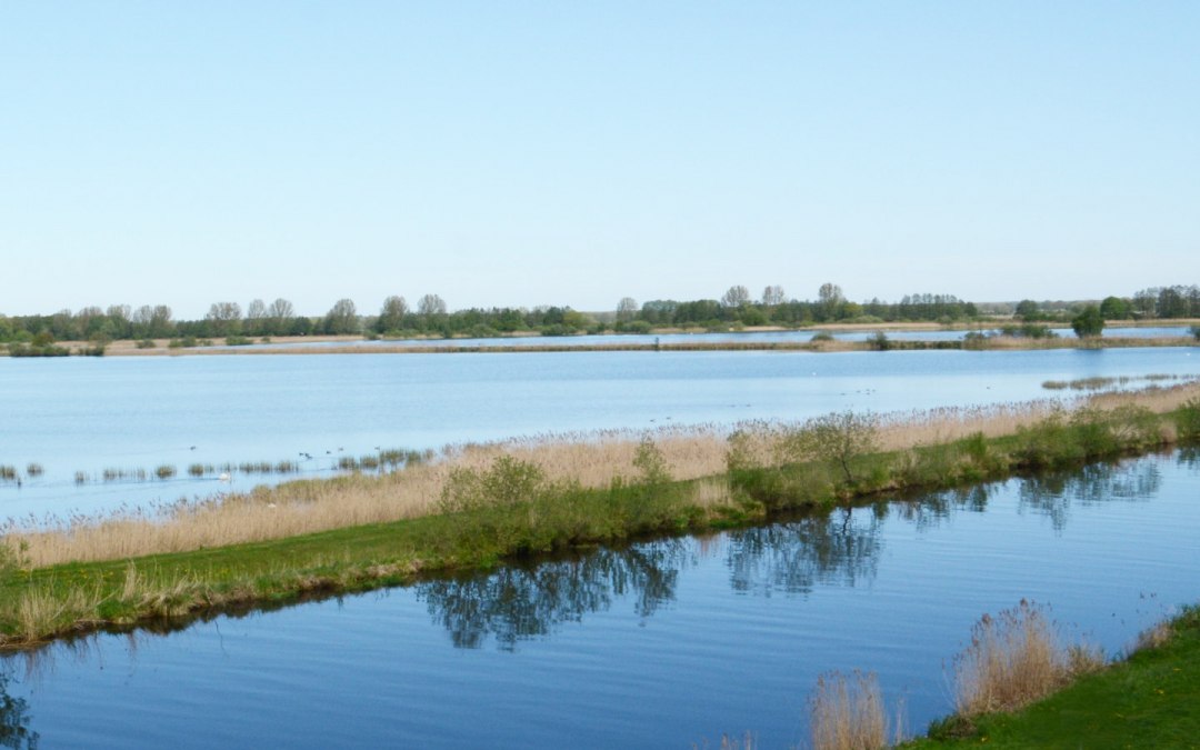Uitzicht op de visvijvers in Lewitz, © Tourismusverband Mecklenburg-Schwerin e.V.