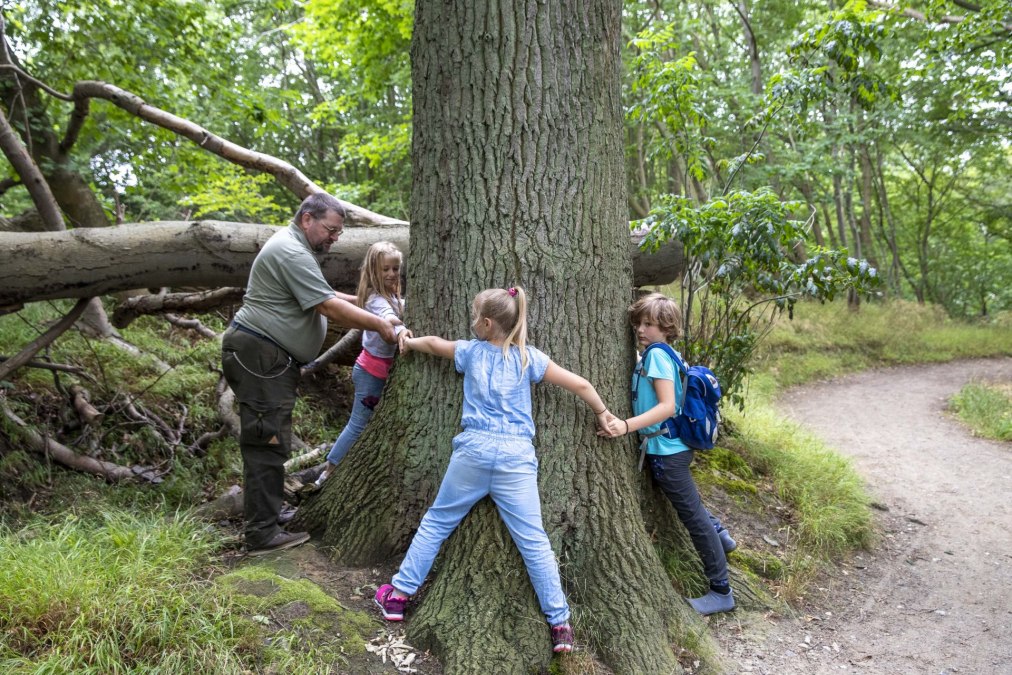 Adventure Nordperd dla naszych małych gości (c) Kurverwaltung Goehren Martin Stoever _07-2019_P5I6440, © Kurverwaltung Goehren / Martin Stoever