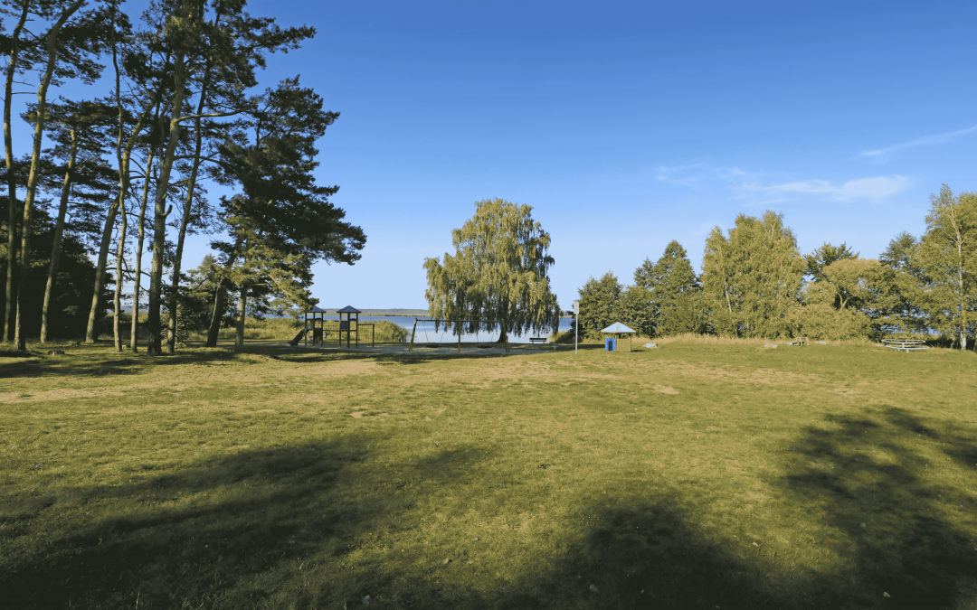 Łąka przy kąpielisku Rieth, © TMV/Gohlke