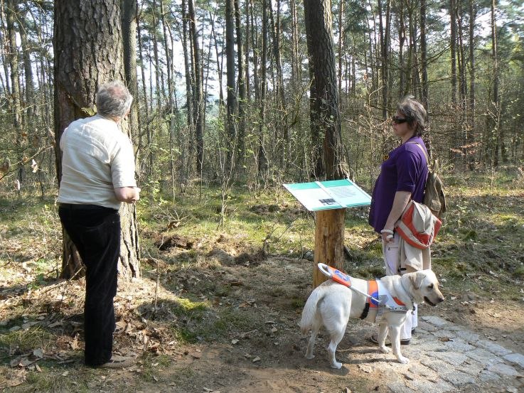 Tactiele en brailleborden langs de weg, © Nationalparkamt Müritz/Kaiser