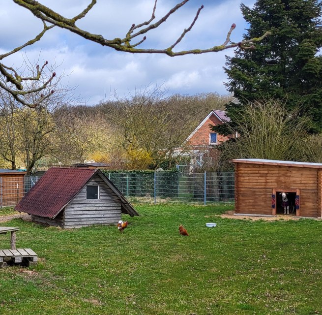 the Lotti-Hof // &copy; adfc-Schwerin