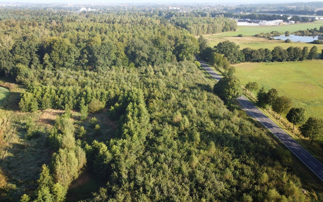 Klimaatbos Bützow, © Landesforst MV