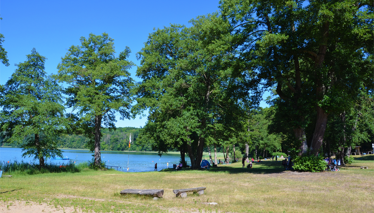 1_BROITER LUZIN - PLAŻA LICHTENBERG, &copy; Martin M&ouml;ller
