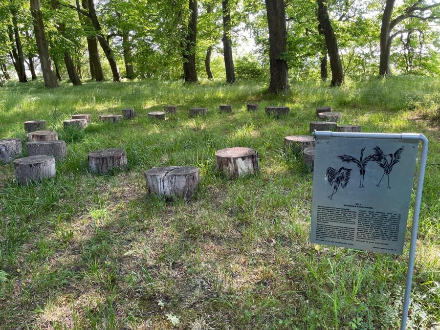 IMG_3620, © TZ Südliche Boddenküste IMG_3620, © TZ Südliche Boddenküste